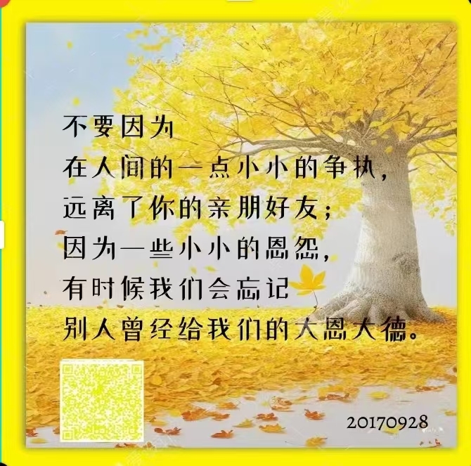 305914